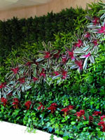 living wall