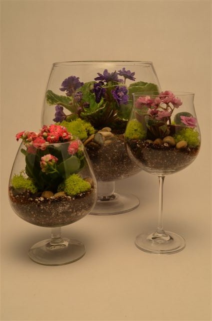 terrariums1 005