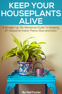 Keep Your Houseplants Alive-1