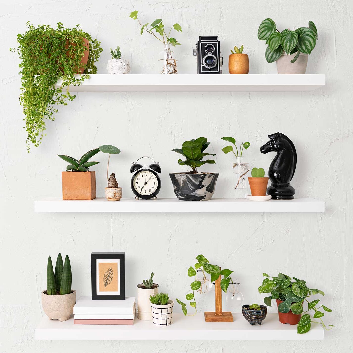 self watering plant pots indoor Self-Watering Planter with Water Level Indicator  Everplant