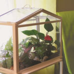 Wardian Cases are Elegant Terrariums