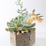 Make Your Own Hypertufa Containers