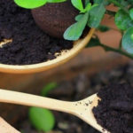 Make Your Own Organic Houseplant Fertilizer