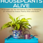 Keep Your Houseplants Alive and Thriving