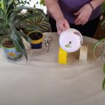 Easy, Quick Way to Put Screen in Plant Pots: Use Drywall Tape