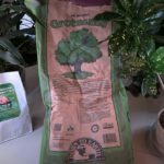 Greensand: Why You Want to Use this Fertilizer in Your Houseplants