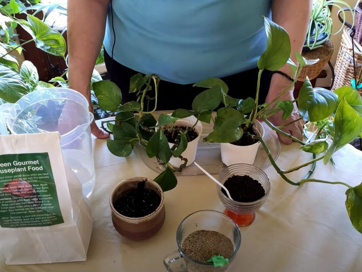 potting mix bags Amerigrow Premium Potting Soil-1cu. ft bag  CW Willis Landscaping and  Garden Center