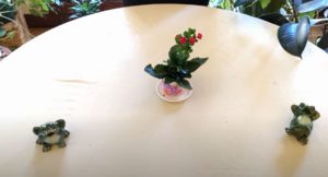 Kalanchoe Indoor Care: What to Know