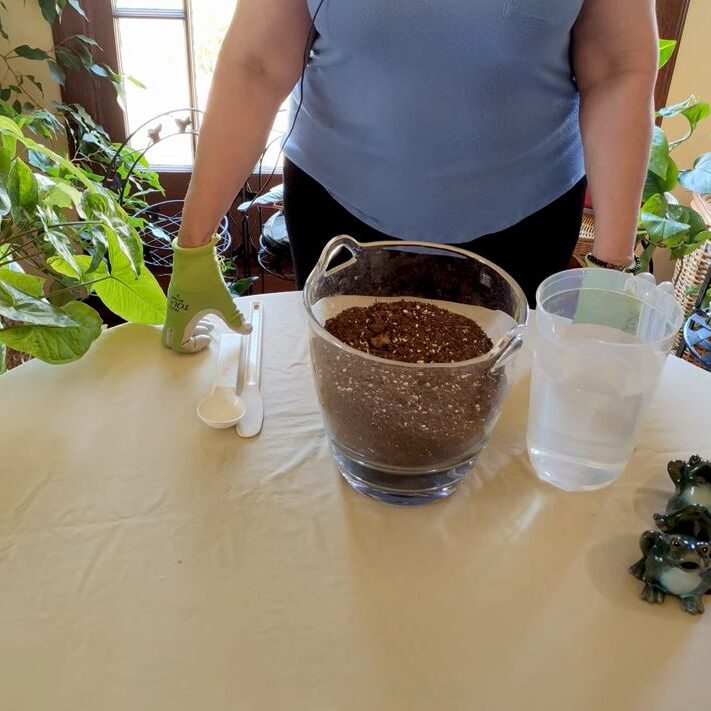 https://www.healthyhouseplants.com/wp-content/uploads/2022/08/Preparing-Soil-for-Houseplant-Repotting-711x711.jpg?utm_source=chatgpt.com