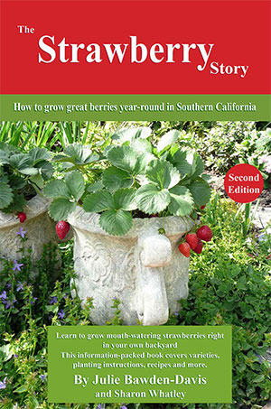The Strawberry Storybook 2nd edition