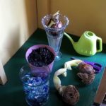 Easy Ways To Plant Amaryllis Indoors