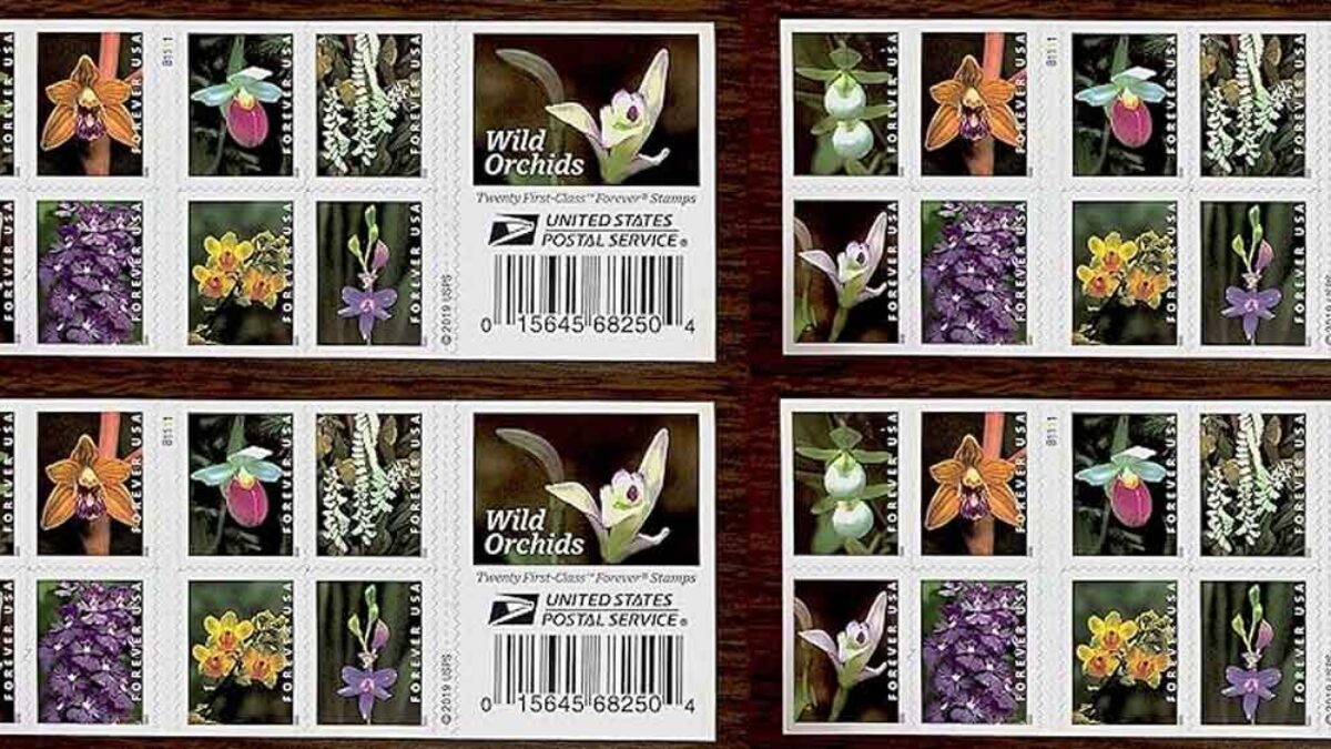 U.S. Postal Service just unveiled beautiful Wild Orchids forever