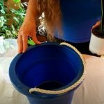 Secret to Watering Houseplants: Squeeze the Plant Pot