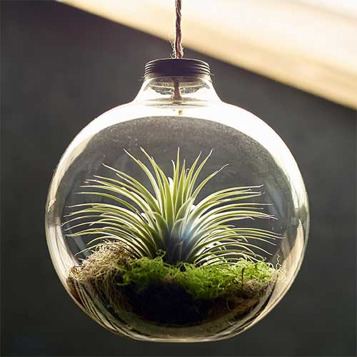 ferm living mus plant pot Ferm Living - Bau Pot - Large main image 0