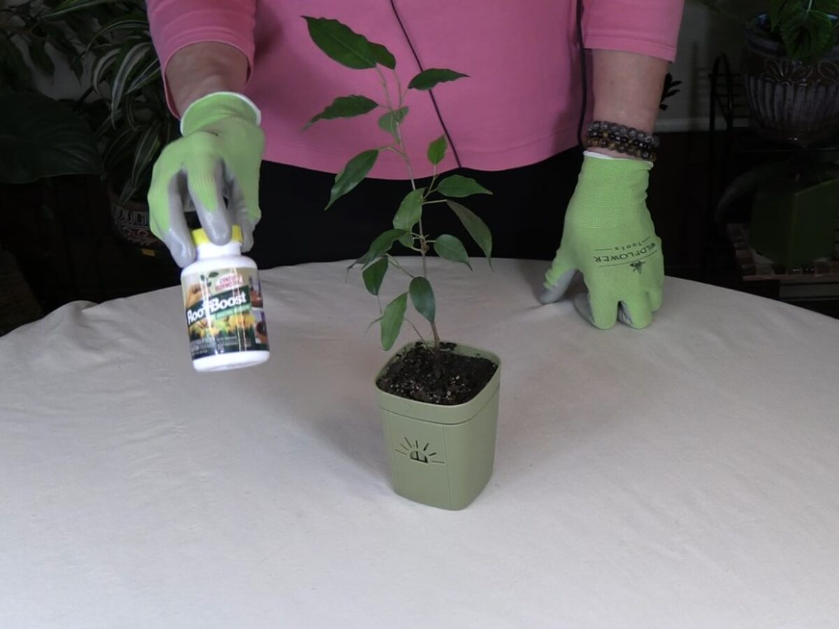 puppet plant Piranha Plant Puppet