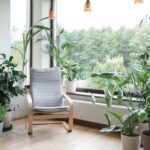 Creating Dramatic Plant Corners for Your Houseplants