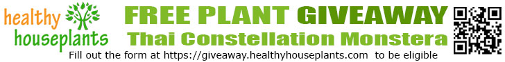 Free Plant Giveaway
