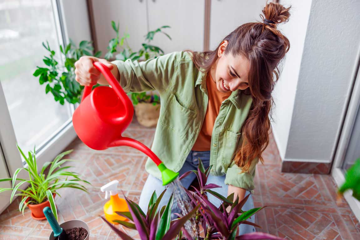 Know the Signs of Overwatering