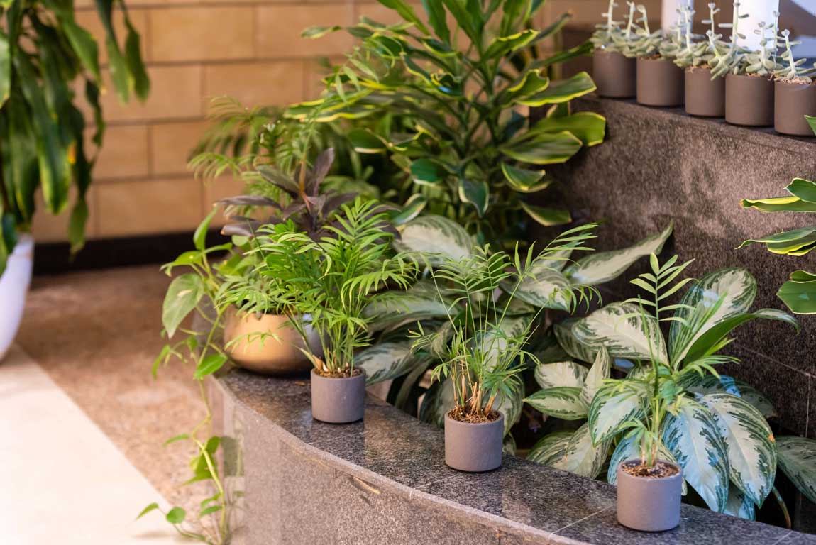 Suitable for Indoor Environments