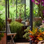 How to Transition Your Favorite Outdoor Plants to Thrive Indoors