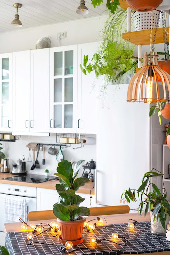 Blend Nature with Decorative Elements and Fixtures