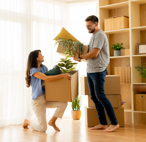 Take Proper Care of Your Houseplants