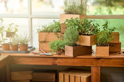 The Importance of Professional Termite Control