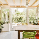 Designing Seamless Transitions: Matching Indoor Plants with Outdoor Spaces