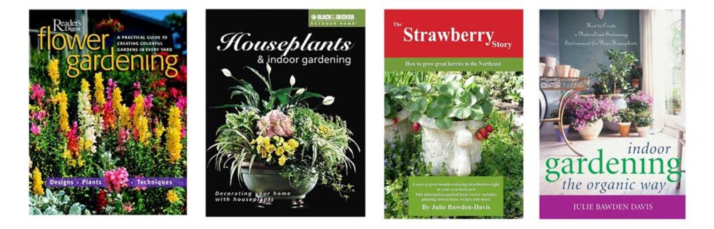 healthy houseplants books store