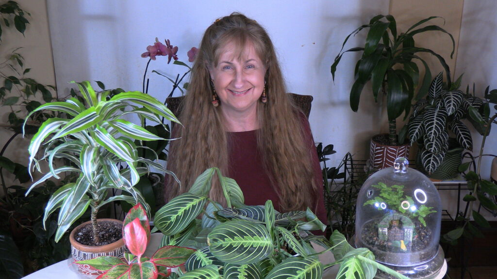 Meet Your Houseplant Coach
