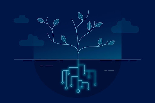 Indoor Gardeners Need a System