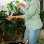 The Best Filter Mask for Indoor Gardeners with Allergies