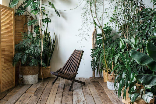 When an Indoor Garden Starts to Feel Like a Place