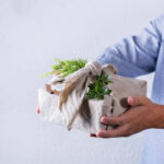 Gifting for Homebodies: What to Buy for Indoor Gardening Enthusiasts