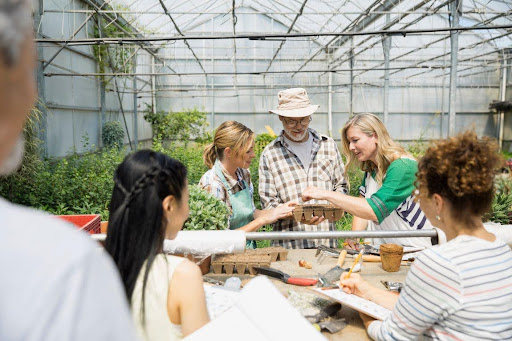 Green Classes and Workshops