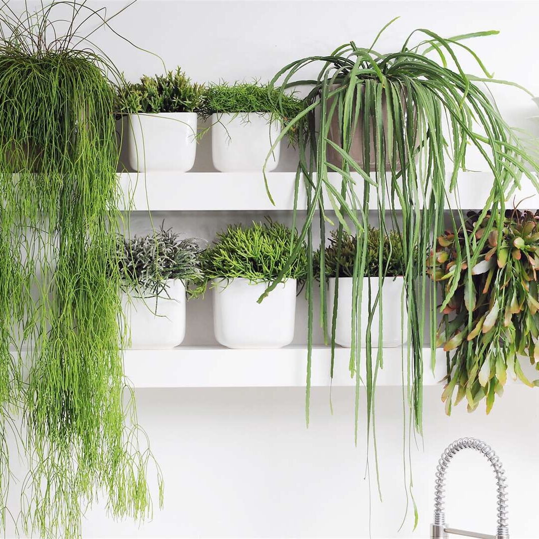 macrame hanging planter Modern No-Tail Macramé Hanging Plant Shelf, 12