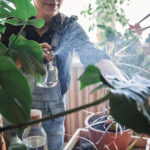 Healthy Indoor Plants Depend on Better Water Systems