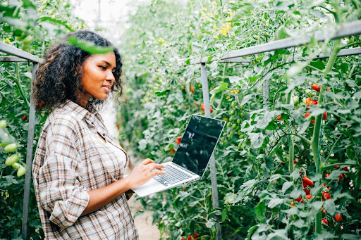 Vertical Farming Technician