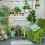 Creating a Healthier Indoor Environment Through Plants, Air Quality, and Safety Systems