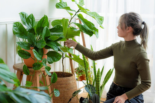 Protecting Fragile Roots