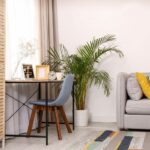 How to Care for Houseplants in a Small Apartment