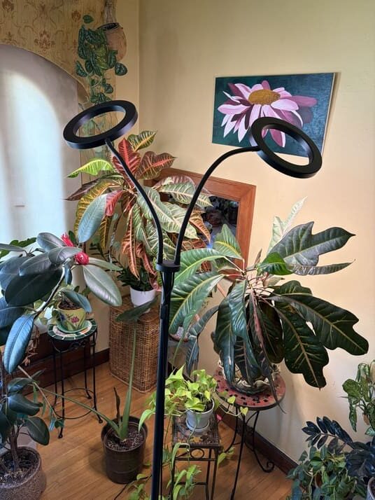 Glowrium G2 Pro Grow Light Review