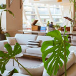 The Hidden Relationship Between Roof Ventilation, Moisture, and Indoor Plant Health