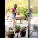 How to Safely Move Indoor Houseplants to Your Patio