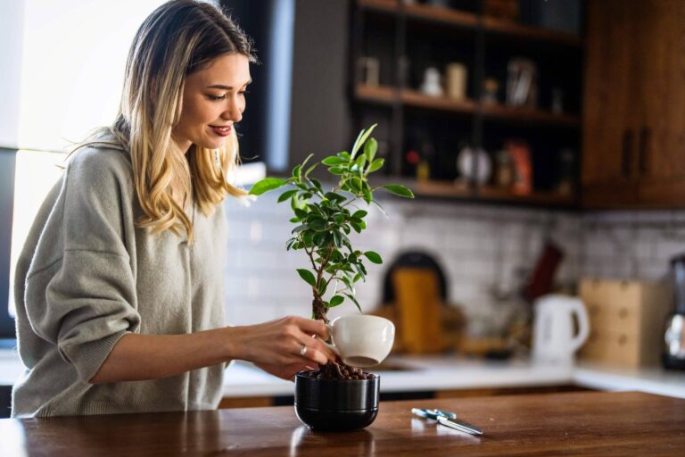 woman-tending-to-bonsai-tree-inside-home