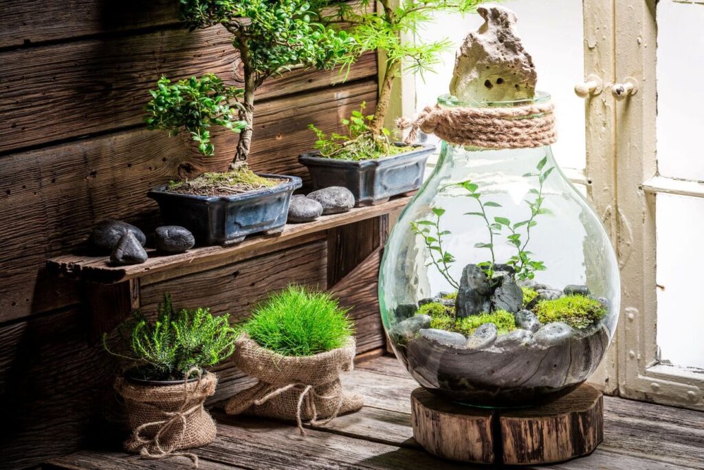 wonderful-rain-forest-in-a-jar-with-self-ecosystem