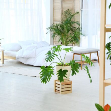bright-bedroom-interior-with-plants