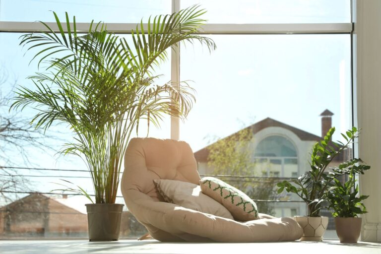 Palm tree and ZZ Plants with comfortable lounge chair next to window
