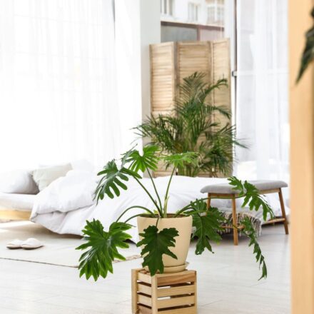bright-bedroom-with-plants-and-minimalist