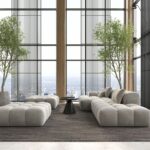 Houseplants That Thrive in Glass Towers: A Care Guide for High-Rise Homes